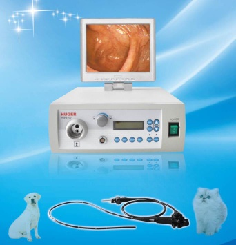 Video Veterinary Flexible Endoscope