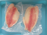 tilapia fillet