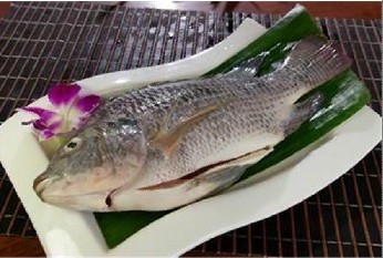 Frozen Black Tilapia Gutted and Scaled