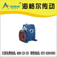 worm gear reducer