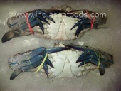 Fresh Crabs - Blue Swimming crabs