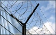 stainless steel barbed wire mesh