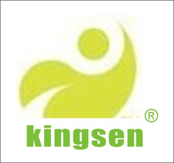 Shenzhen Kingsen Technology Co.,Ltd