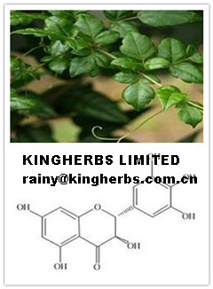 Kingherbs offers China Myricetin