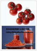 China Lycopene Tomato Extract