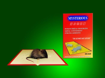 Mouse Glue board