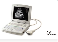 B mode  ultrasound scanner