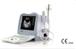 B mode ultrasound scanner