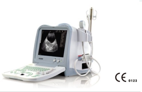 B mode ultrasound scanner KX2600 11