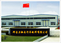 Xingtai Lichi Bicycle Parts Co.,Ltd