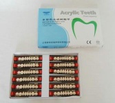 Acrylic resin teeth