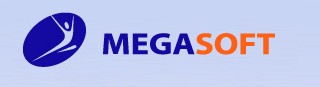 Megasoft(Fujian) Hygiene Products Co.,Ltd
