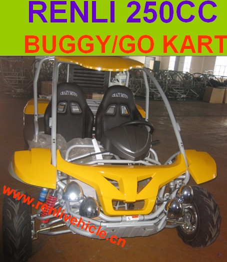 250CC RENTAL KIDS KARTING/BUGGY/ATV