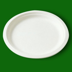 9 inch plate