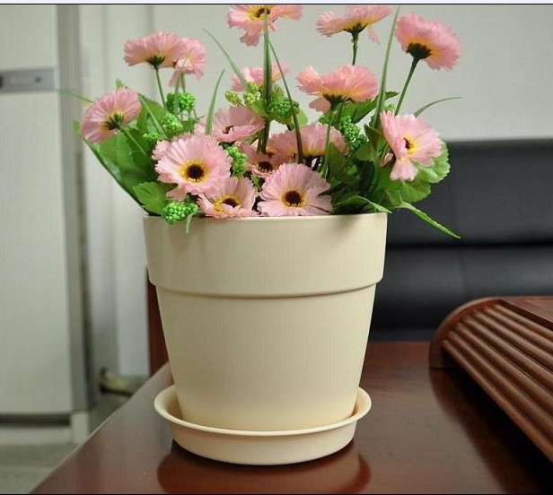 The color of this product is mellow,it\s a good indoor decoration.Apricot is one of popular color.