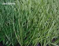 Football Grass (LSM50-S-J)