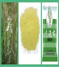 Rosemary Antioxidant(oil-soluble)