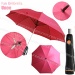 fashion fan umbrella