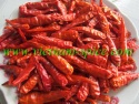 dried medium chili (supper hot )