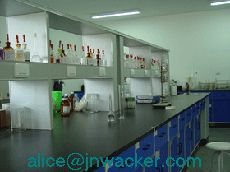 Jinan Wacker Chemical Co., Ltd.