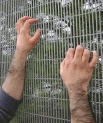 Fortis 358 welded mesh