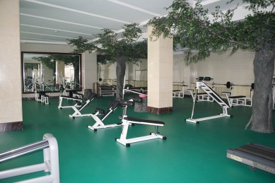 Gym/fitness floor