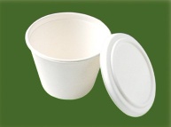 disposable biodegradable coffee cup