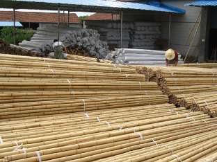bamboo pole/cane/stick