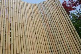 bamboo fence/fencing