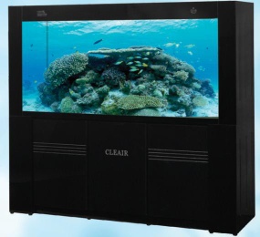 Marine glass aquarium