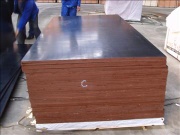 Concrete form plywood 
