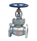 Globe valve - Globe valve