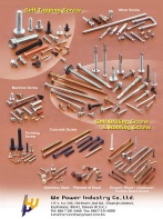 all types of screws - screw