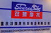 Chongqing Shuangshi Motor Manufacturing Co.,Ltd