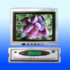 TFT LCD Monitor / color TV - NP6000TV
