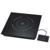 Touch Panel Induction Cooker - TS