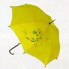 Lady's Umbrella