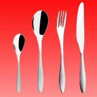 Cutlery Flatware Set